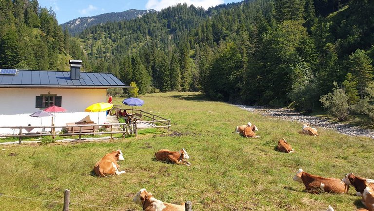 Oberbayern: Aktivwoche mit Wandern und Yoga bei Bad Tölz